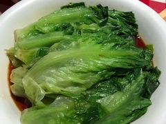 葱油罗马生菜-西贝莜面村(近铁城市广场店)