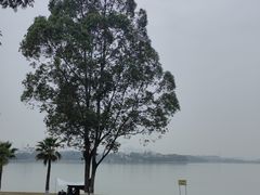 -仙湖旅游度假区