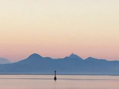 -深圳湾公园(南山区)