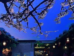 -南楚古都