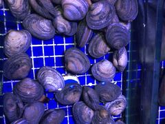 -青蓬蒸汽海鲜·深圳老字号·团建聚会(壹方城店)