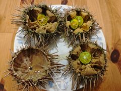 -海胆小馆(东北水饺·春柳店)