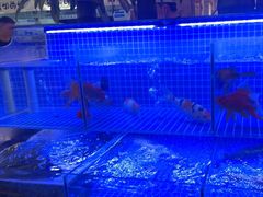 -谭三娘鲜切牛肉自助火锅(九眼桥总店)