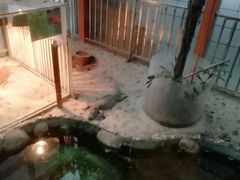 -上海大自然野生昆虫馆(东方明珠·爬宠昆虫探索中心)