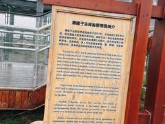 -黑瞎子岛探秘野熊园