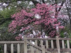 -乌山风景区