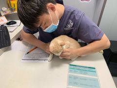 -伟伟宠物医院·瑞派猫友好医院·猫科(光谷店)