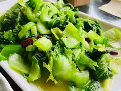 小苦菜-乡村小榭饭店