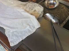 -叶氏麻糍(鼓浪屿店)