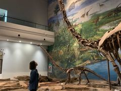 -自贡恐龙博物馆