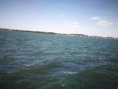 -丁香湖公园