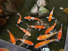 -观海半岛宴·湛江菜(海上世界店)