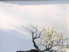 -杭州植物园