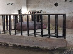 -石家庄市动物园