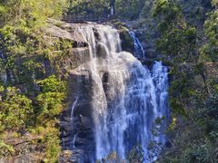 -海南热带雨林国家公园吊罗山景区