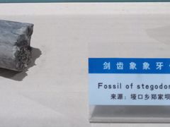 -阆中博物馆
