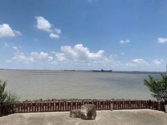 -上海滨江森林公园