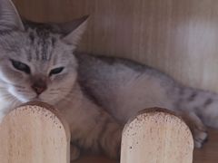 -美家乐农庄·露营·团建(大治路店)