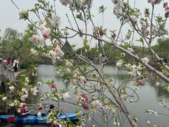 -无锡蠡湖国家湿地公园-蠡园
