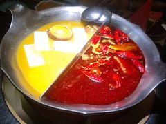 红颜花胶鸡锅-湊湊火锅·茶憩(石家庄万象城店)