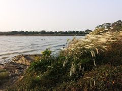 -上海市保健医疗中心(华东疗养院)