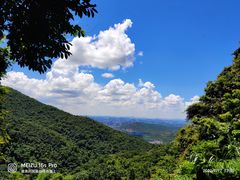 -梧桐山风景名胜区