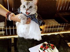 -派悦坊·甜品·蛋糕(日坛店)