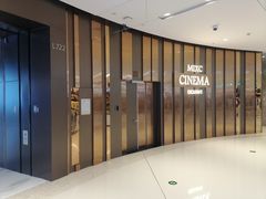 -万象影城(石家庄万象城IMAX激光店)