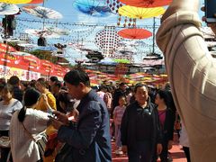 -西安汉城湖景区