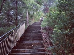 -南山植物园