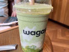 -Wagas沃歌斯(大学路店)