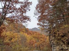 -洛阳白云山景区