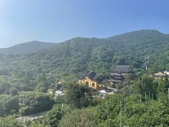 -树山生态村