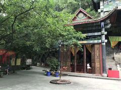 -大金鹰园