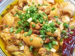 鸡肾鱼肚-张氏鱼庄
