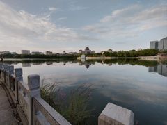 -莲花池公园