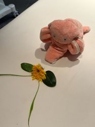 -VELEE·SPA高定疗愈会所