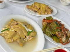 -新陶陶酒家