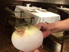 -肆月河豚·新淮扬(金融街店)