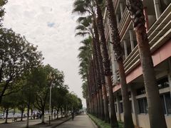 -四川大学(江安校区)