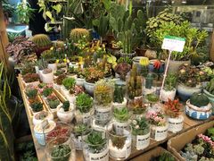 -双季花艺园艺市场(浦东店)