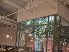 -大树餐厅(大悦城店)