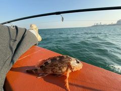 -鑫艋游艇海钓俱乐部