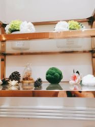 -MIDA蜜哒•科技逆龄美肤连锁