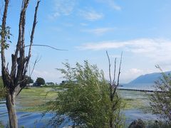 -才村湿地公园