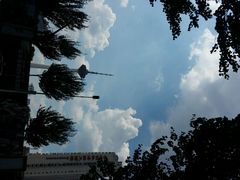 android_upload_pic-辽宁电视塔