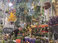 -循礼门鲜花花市(武汉循礼门店)