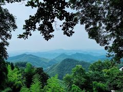 -莫干山风景区