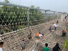 -北京呀路古热带植物园