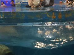 -锦艺城海洋馆